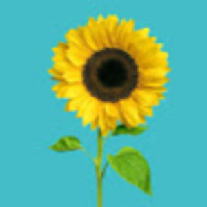 Meet your Posher, Eva